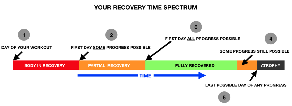 Recovery-2.png